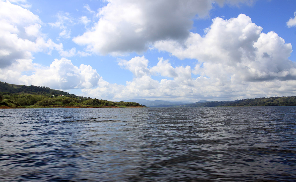 selva leona part  lake arenal 
 - Costa Rica