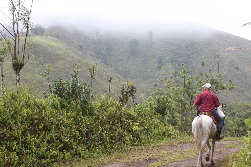 selva leona part  don fermin 
 - Costa Rica