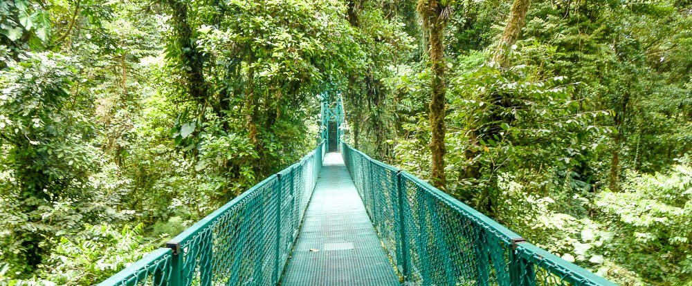 selvetura hanging bridge 
 - Costa Rica