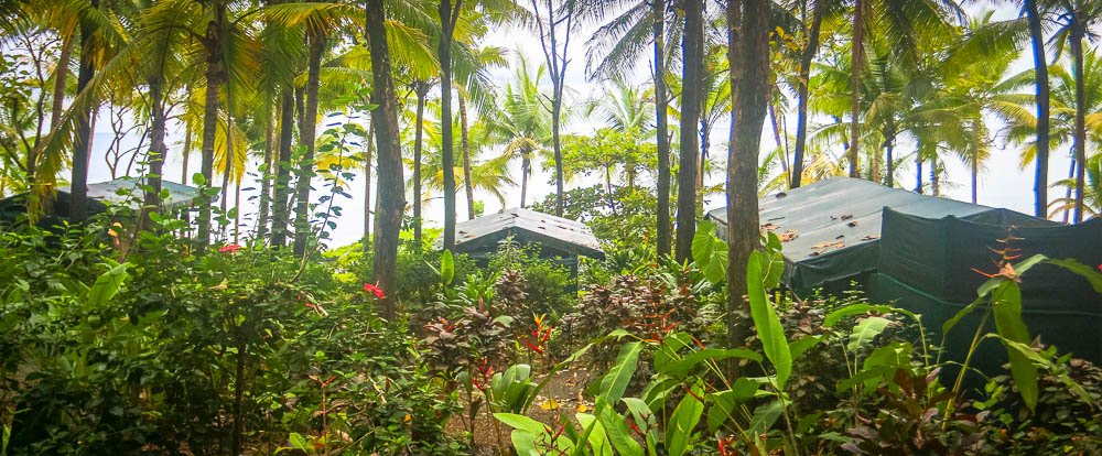 la leona coastal view from tents costa rica
 - Costa Rica