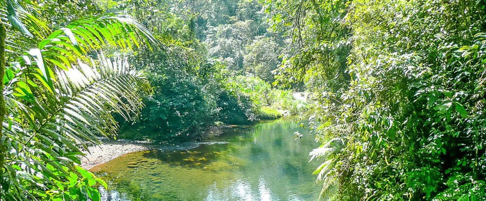 green river braulio
 - Costa Rica