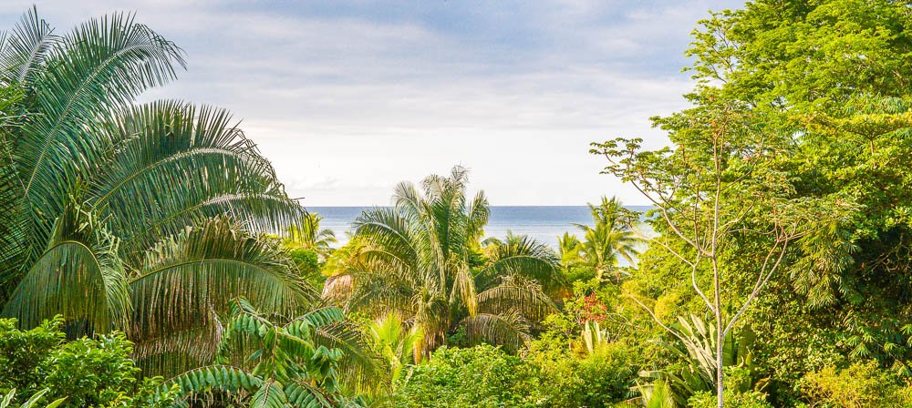 view from finca exotica restaurant
 - Costa Rica