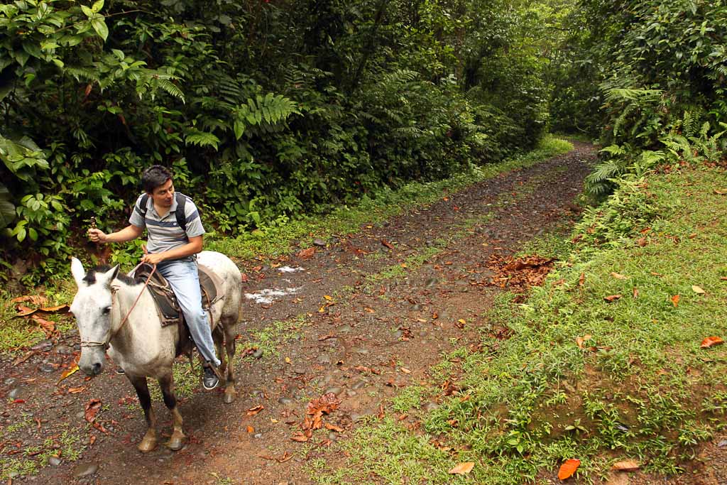 horse guide sueno azul
 - Costa Rica