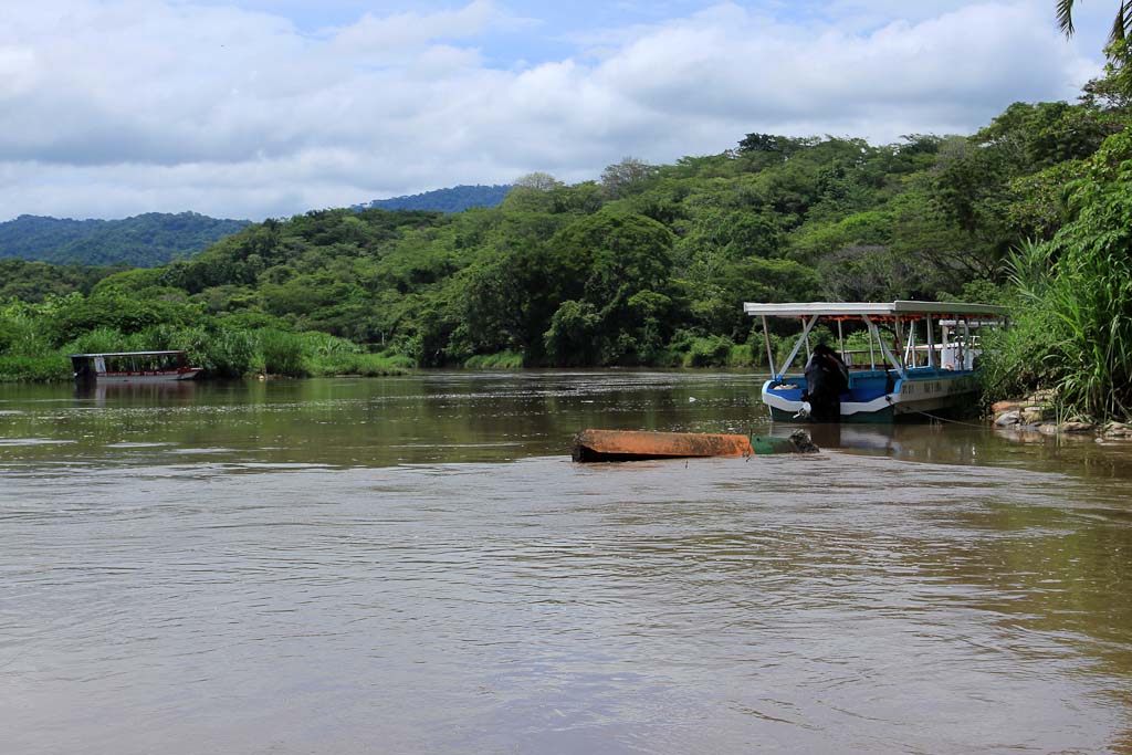 tarcoles river overview 
 - Costa Rica