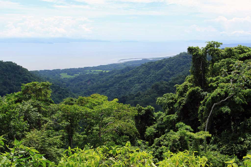 pura vida gardens pacific coast 
 - Costa Rica