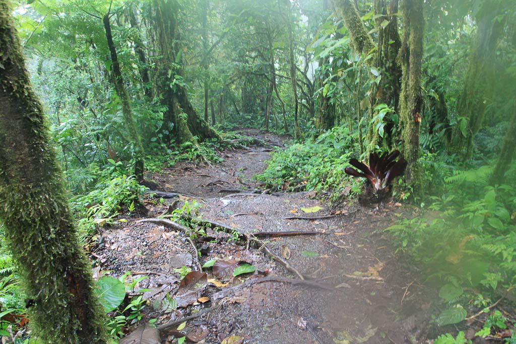 cerro chato hike 
 - Costa Rica