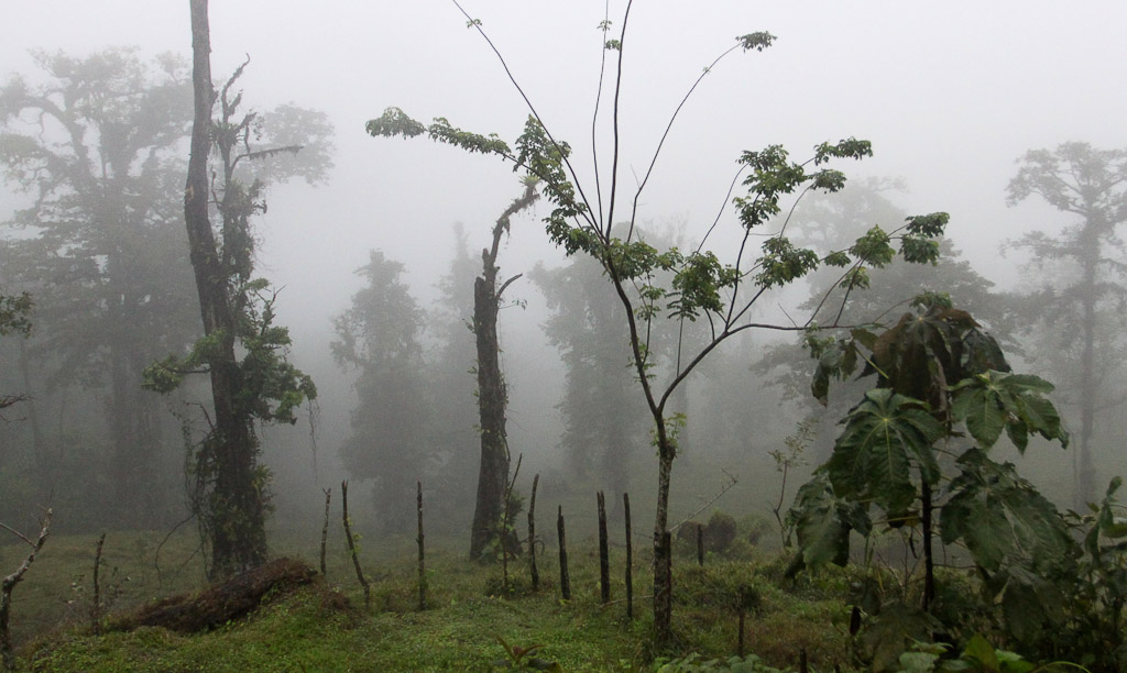 cerro chato hike 
 - Costa Rica