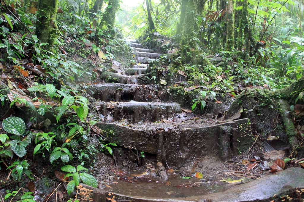 cerro chato hike 
 - Costa Rica