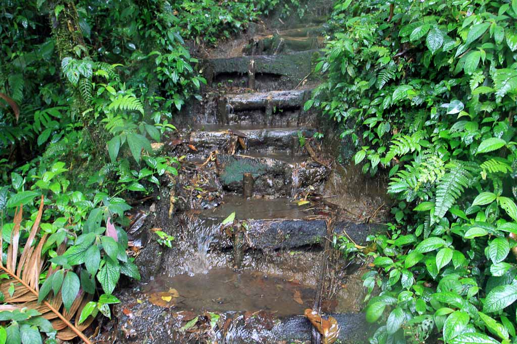 cerro chato hike 
 - Costa Rica