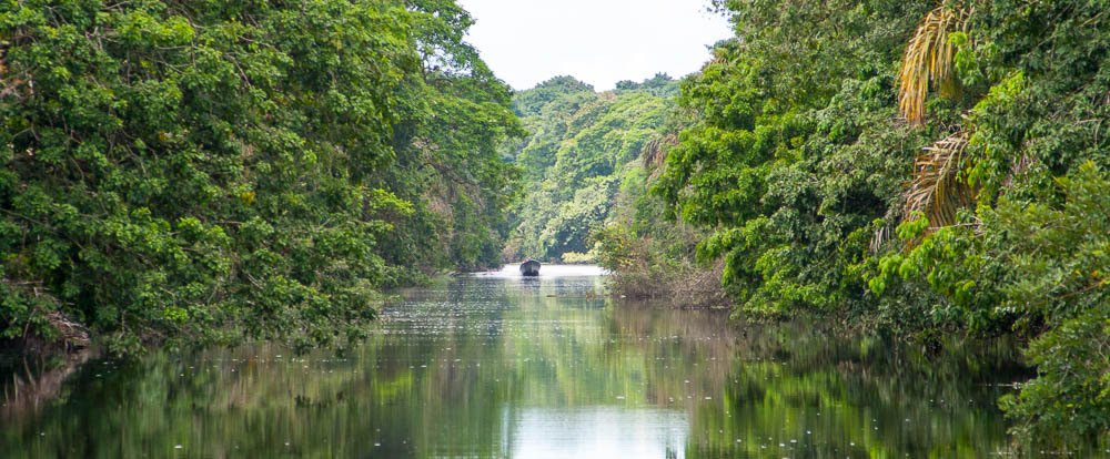 canal barra del colorado canal
 - Costa Rica