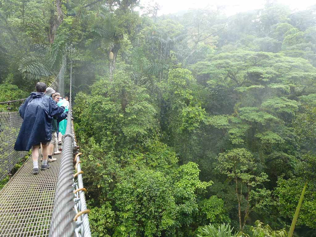 hanging bridges 
 - Costa Rica