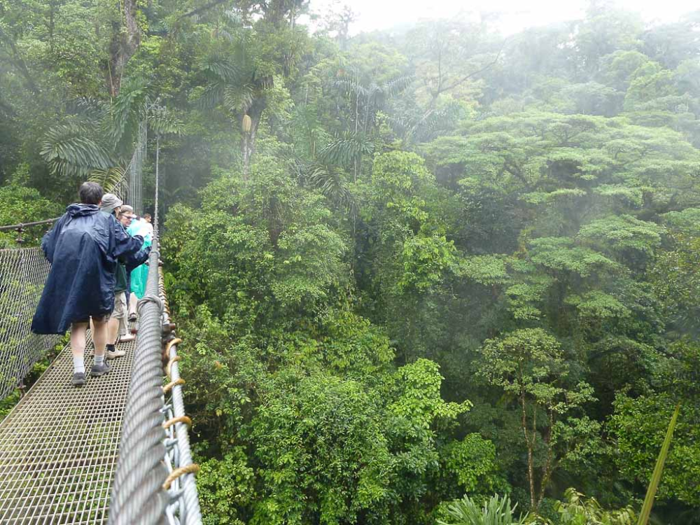 Arenal's Natural Beauty