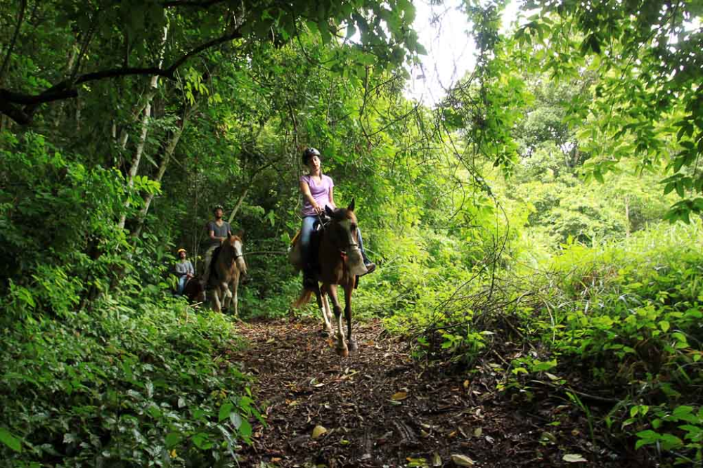 Horse Whisperers in Jaco