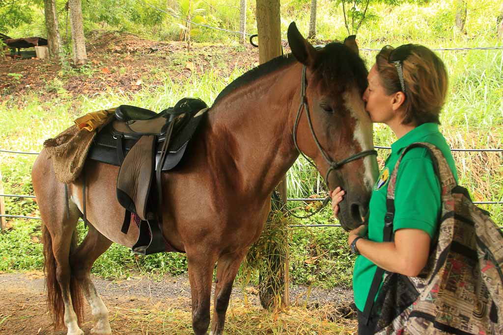 discovery horseback blog kiss 
 - Costa Rica