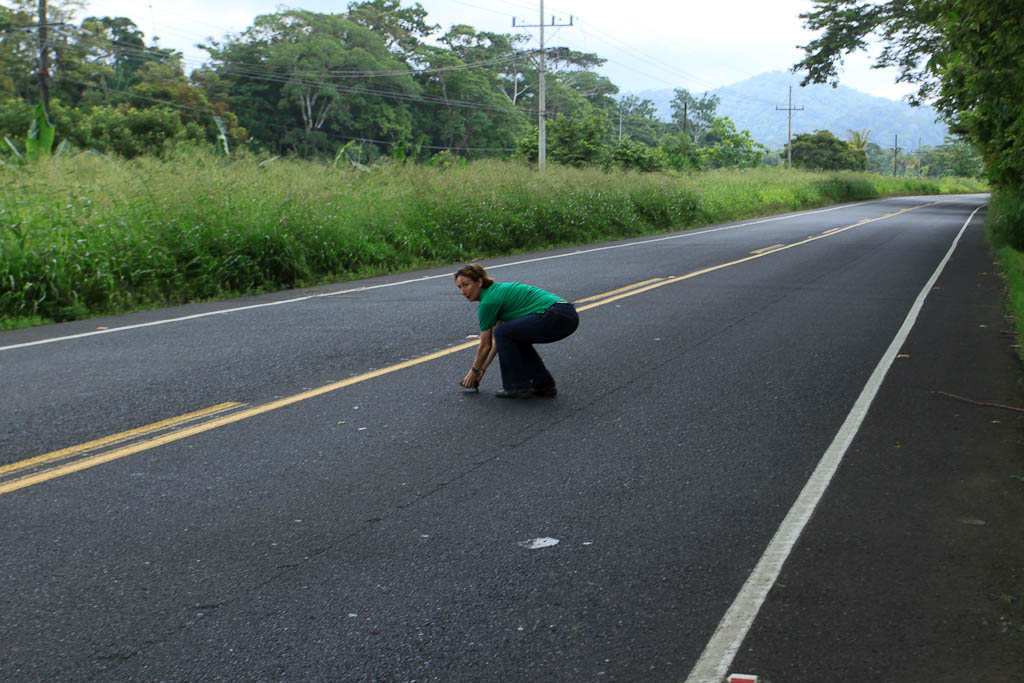 discovery horseback blog turtle saving 
 - Costa Rica