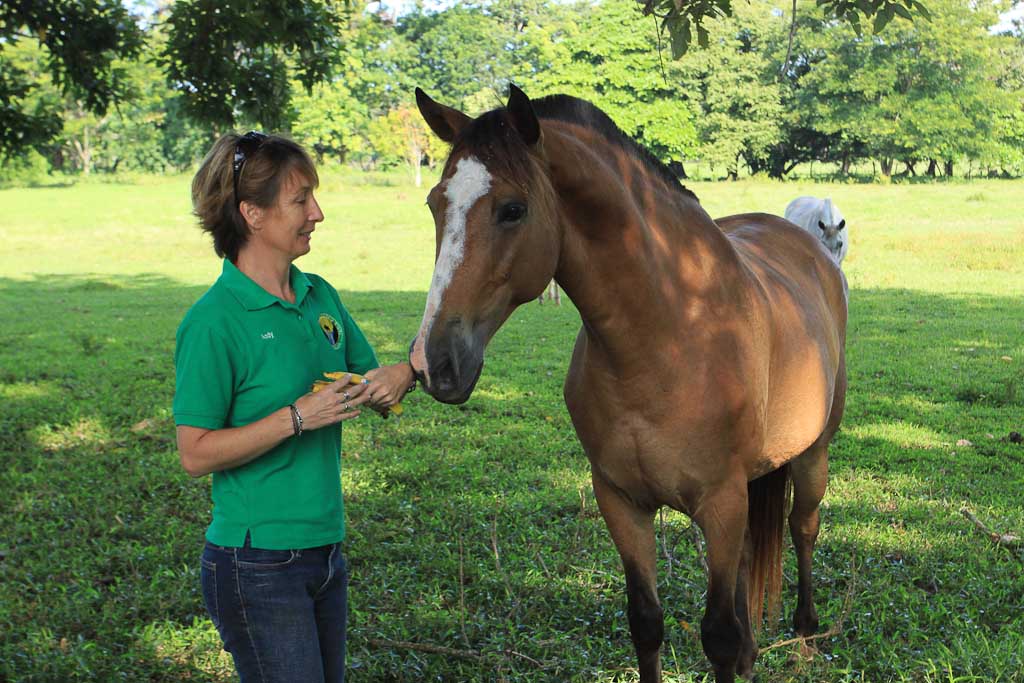 discovery horseback blog pre smile 
 - Costa Rica