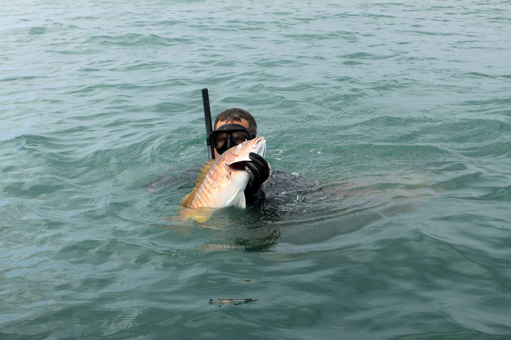 in shore fishing manuel antonio spear fishing 
 - Costa Rica