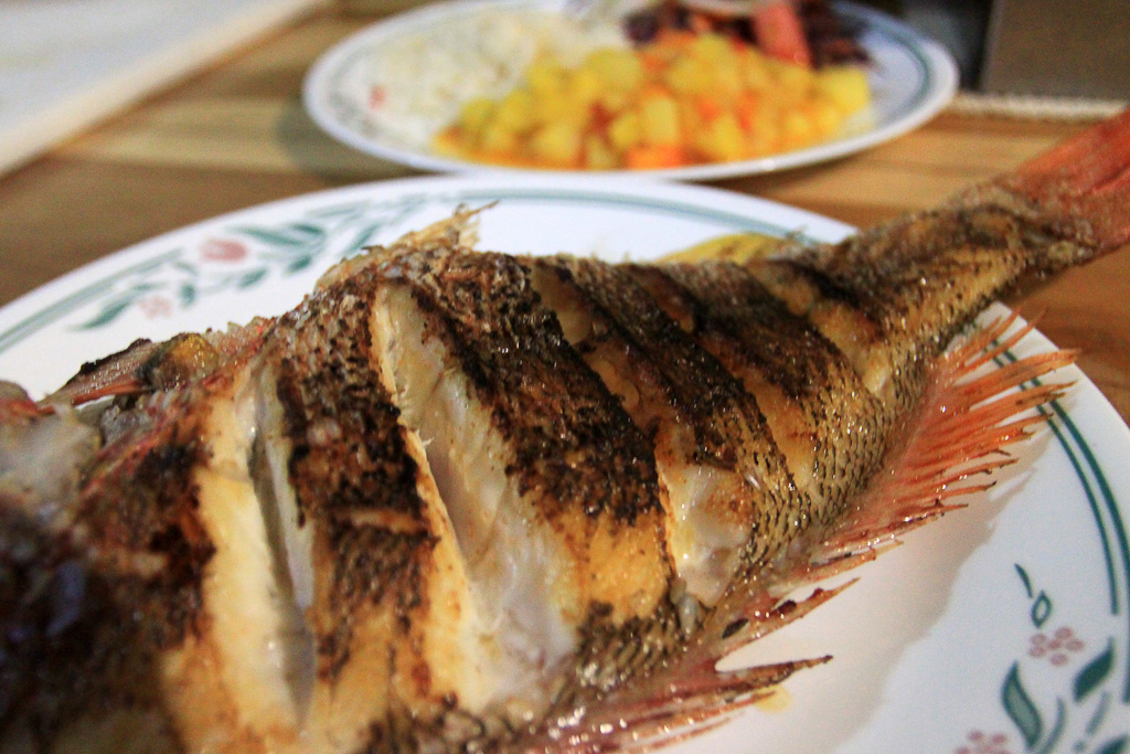 in shore fishing manuel antonio snapper dinner 
 - Costa Rica