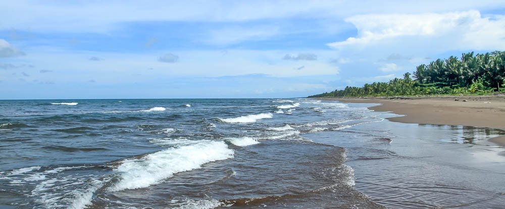 tortuguero beach attraction long view 
 - Costa Rica