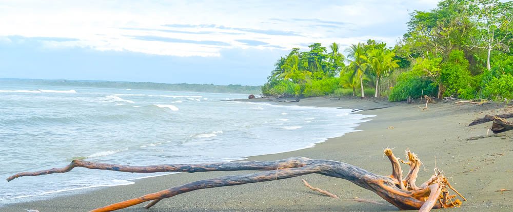 beach at sirena ranger station
 - Costa Rica