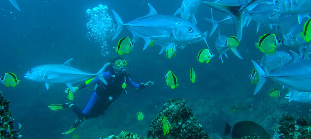 diving catalina islands 
 - Costa Rica