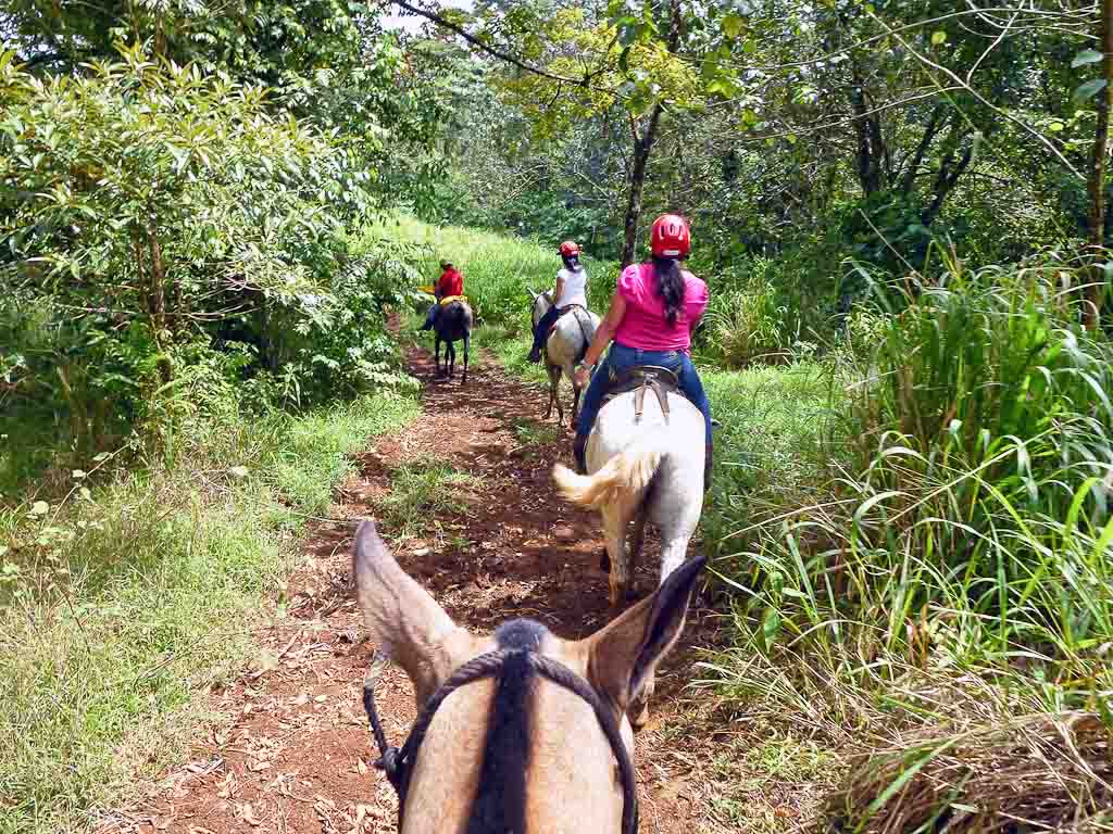 pozo azul horseback riding
 - Costa Rica