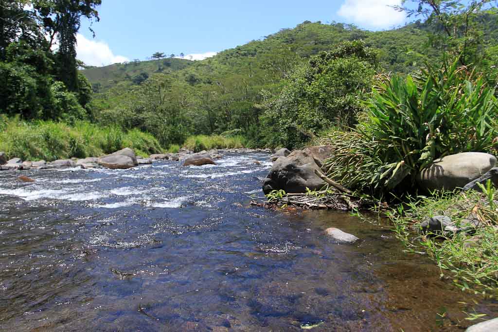 rancho margot cano negro river 
 - Costa Rica