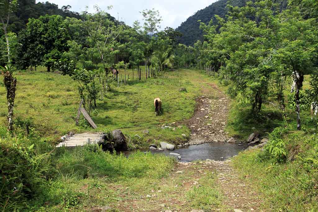 rancho margot dirt road 
 - Costa Rica