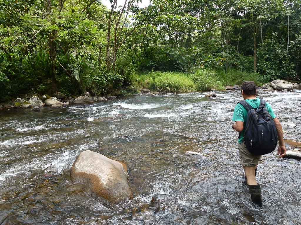 crossing childrens ete rnfrst river crossing 
 - Costa Rica