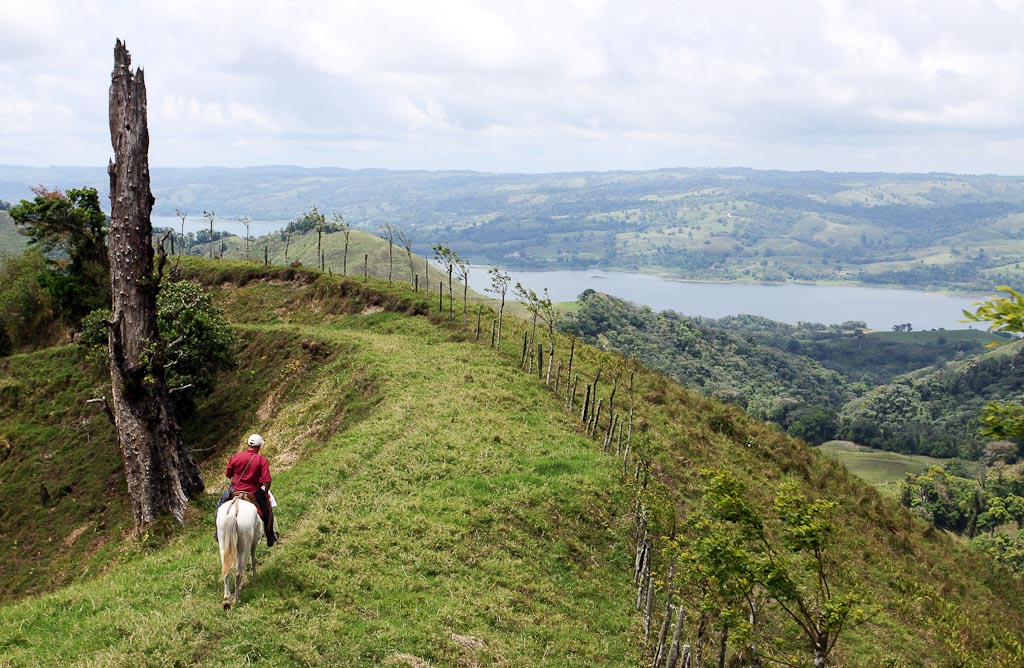 selva leona part  ridge 
 - Costa Rica