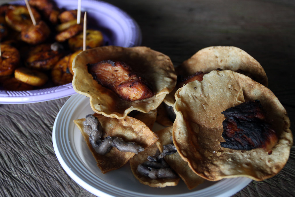 selva leona part  lunch 
 - Costa Rica