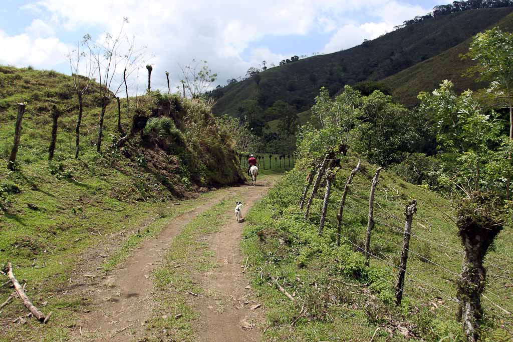 selva leona part  dirtroad 
 - Costa Rica