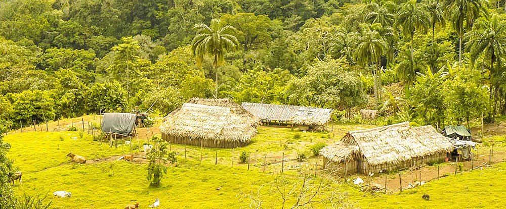 three shacks forming the cabecar village pacuare
 - Costa Rica