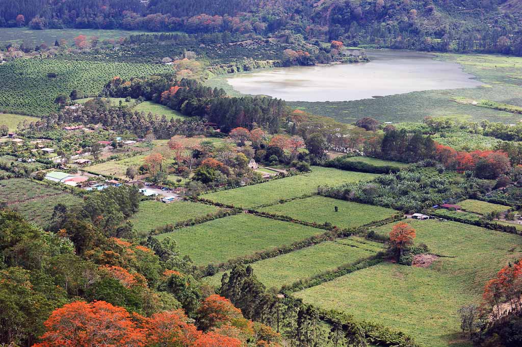 orosi valley  
 - Costa Rica