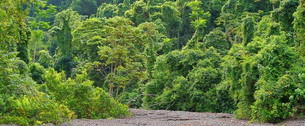 piedras blancas national park
 - Costa Rica