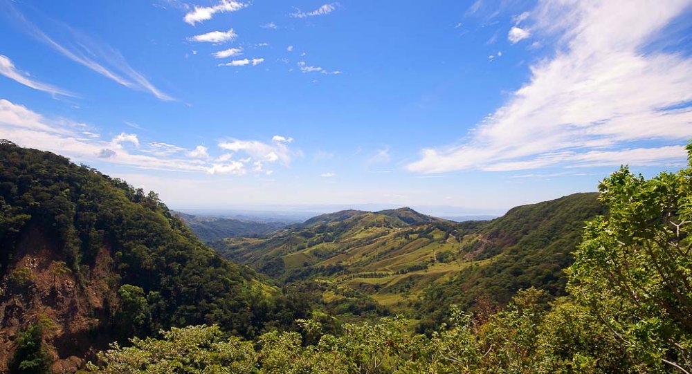 mountain monteverde cloud forest reserve 
 - Costa Rica