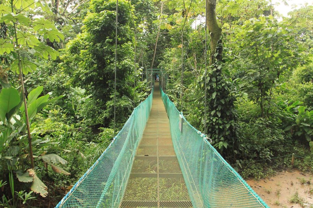 la foresta nature resort trails 
 - Costa Rica