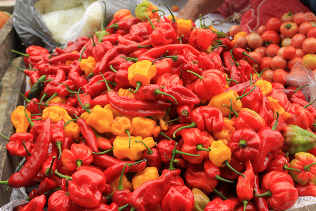 eating cheap peppers 
 - Costa Rica