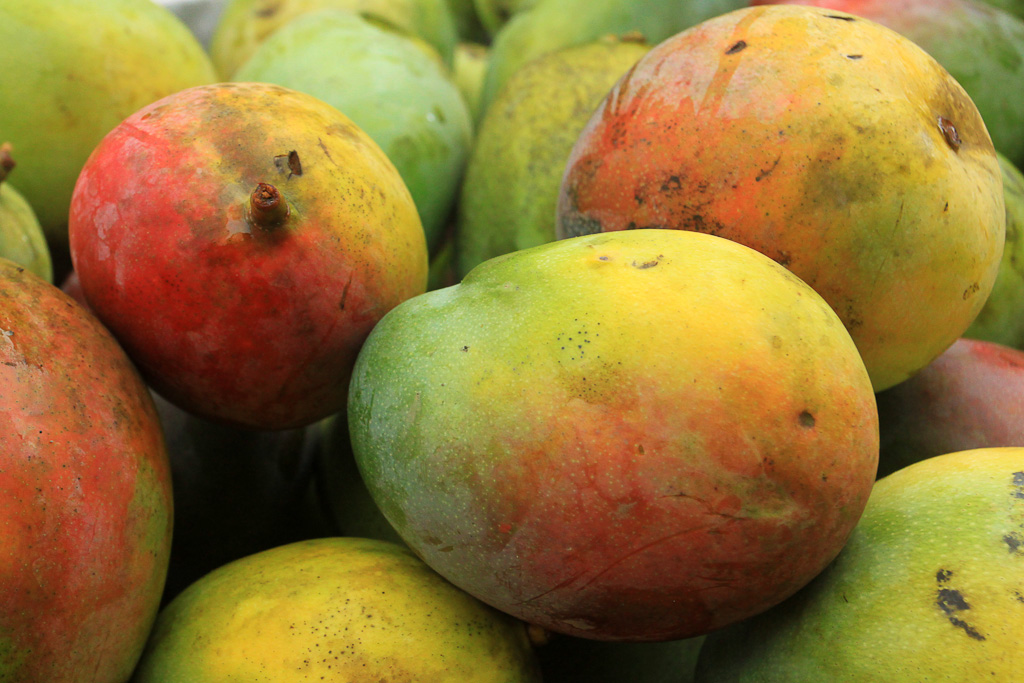 eating cheap mangoes 
 - Costa Rica