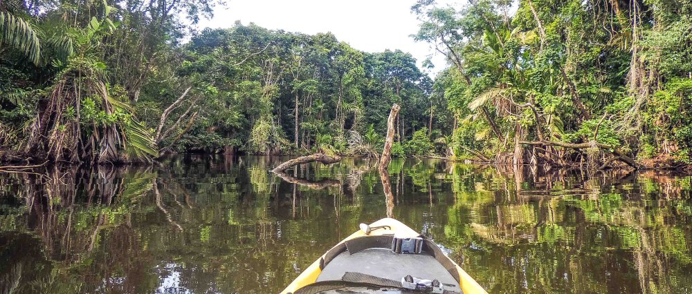 tortuguero destination kayak 
 - Costa Rica