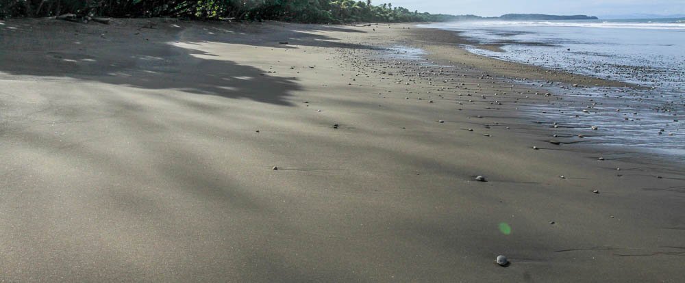 hermosa beach attraction dominical coast 
 - Costa Rica