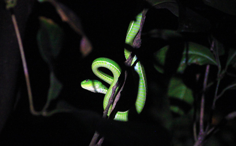 Night hike at Santamaria