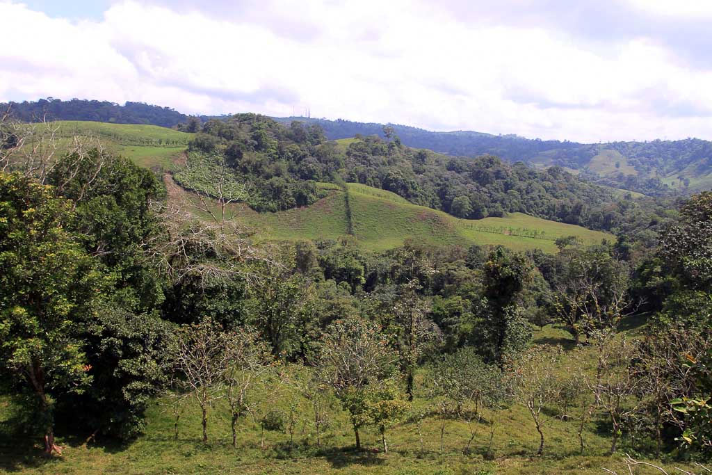 carlos lodge arenal valley 
 - Costa Rica