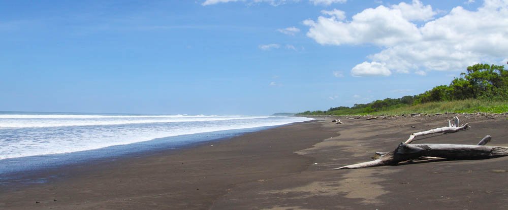 playa nosara stretch
 - Costa Rica