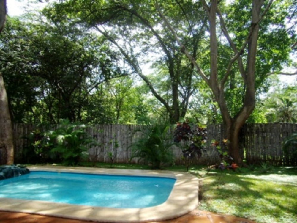 flamingo backyard pool
 - Costa Rica