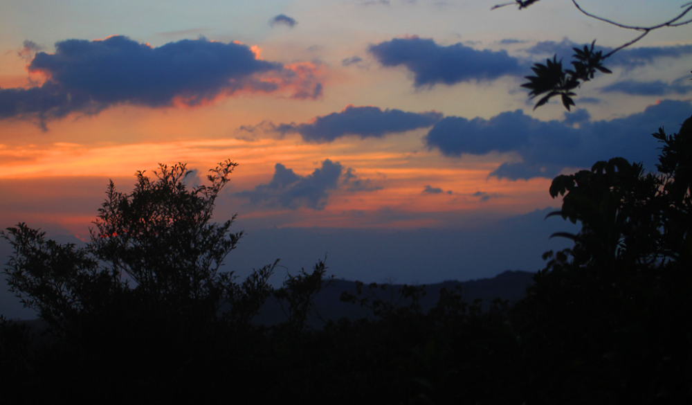 Exploring the Night in Monteverde