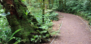 Hiking - Costa Rica