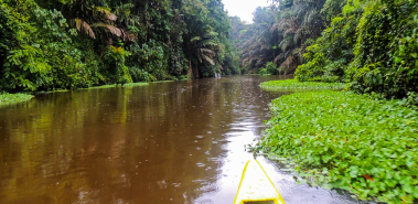 Tortuguero National Park - Costa Rica