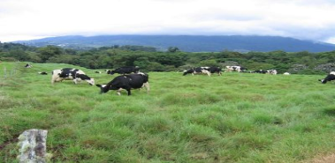 Land in the Mountains - Costa Rica