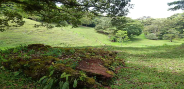 Going Green While Keeping Clean - Costa Rica